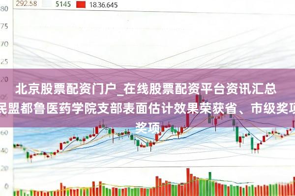 北京股票配资门户_在线股票配资平台资讯汇总 民盟都鲁医药学院支部表面估计效果荣获省、市级奖项